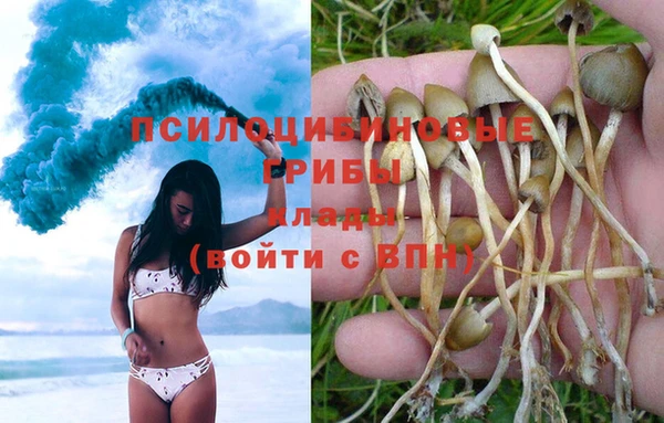 mdpv Нефтекумск