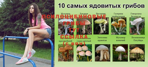 спиды Нея