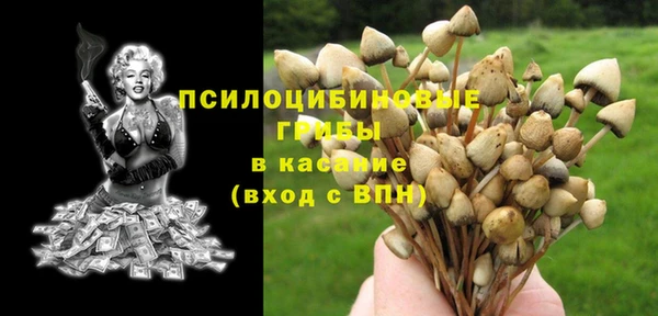 ПСИЛОЦИБИНОВЫЕ ГРИБЫ Братск