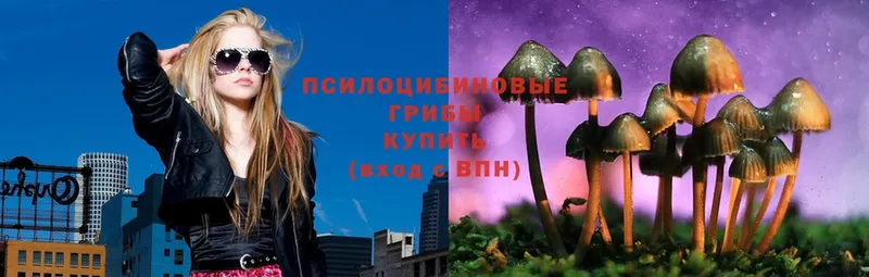 Галлюциногенные грибы Psilocybe  Медынь 