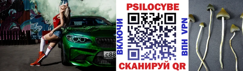 blacksprut рабочий сайт  Медынь  Псилоцибиновые грибы Psilocybe  где купить наркотик 