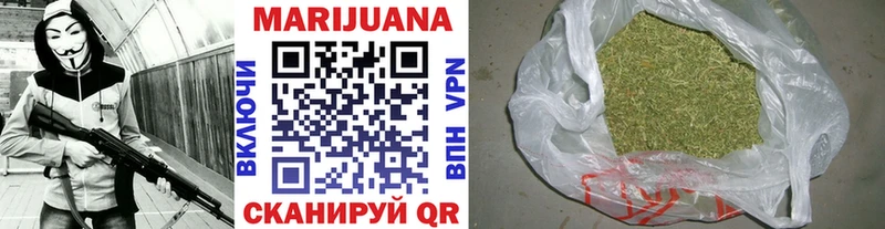 Конопля сатива  Медынь 